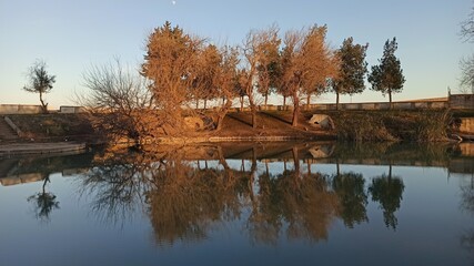 Canvas Print - Autumn and trees in the park. Reflection of trees on the lake.