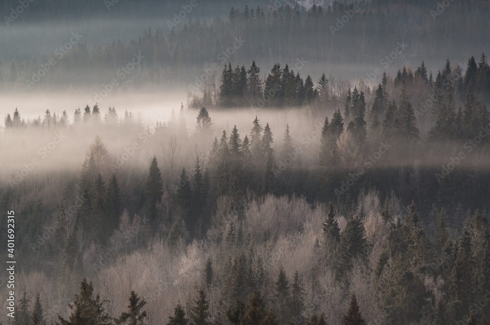 Obraz na płótnie krajobraz górski we mgle w salonie