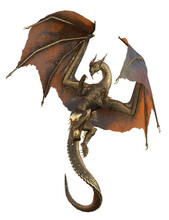 3d Ilustrtion Golden Dragon Wyvern