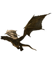 3d Ilustration Dragon Flying Wyvern