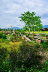 Canvas Print - Small Wood Bridge with Rice Field in Pua District