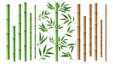 Fototapeta Fototapety do sypialni na Twoją ścianę - Realistic bamboo stick. Brown and green tree branch and stems with leaves isolated decorative closeup elements, east forest trees collection, exotic botanical decor object, eco material vector 3d set