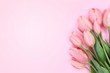 Fototapeta Tulipany - Spring blossoming tulips, springtime pink flowers festive background, pastel and soft floral card, selective focus, toned	