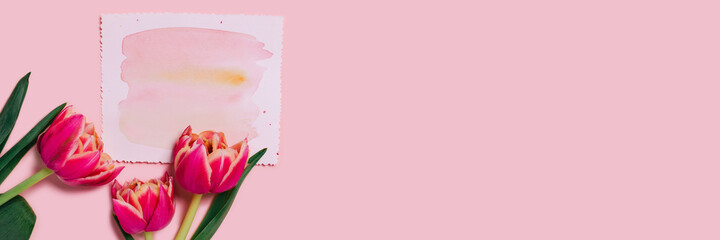 Banner with three beautiful tulips on pink background with colorful paper.