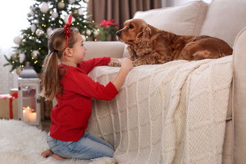 cute little girl with english cocker spaniel in room decorated for christmas