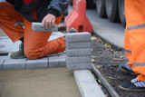 Fototapeta  - The worker takes the paving slabs, lays them in even layers.The construction of the road.