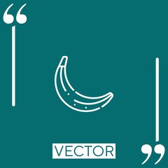 Poster - banana vector icon Linear icon. Editable stroke line