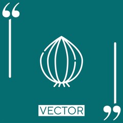 Poster - onion vector icon Linear icon. Editable stroke line