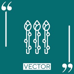 Poster - asparagus vector icon Linear icon. Editable stroke line