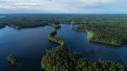 Wall Mural - Panoramic aerial view of a lake among the forests. Landscape with drone. Blue lakes, islands and green forests from above on a summer morning. Lake landscape in Finland.