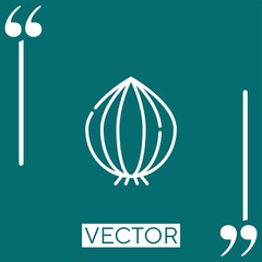Poster - onion vector icon Linear icon. Editable stroke line