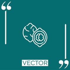 Poster - walnut vector icon Linear icon. Editable stroke line