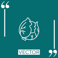 Poster - cabbage vector icon Linear icon. Editable stroke line
