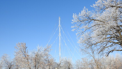 Frozen high board