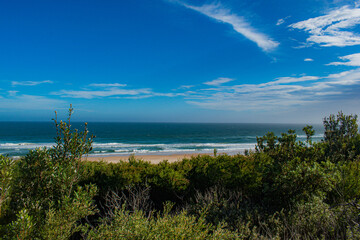 An aerial shot of green beach under blue sky