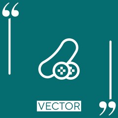 Poster - cucumber vector icon Linear icon. Editable stroked line