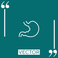 Poster - stomach vector icon Linear icon. Editable stroke line