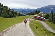 Ellmau am wilden Kaiser in Tirol, Going am wilden Kaiser 