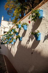 Wall Mural - flower pots on the wall malaga spain