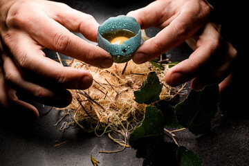 male hands carefully hold egg and place it in wood fiber nest. Molecular cuisine concepts