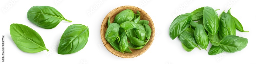 Fresh basil leaf isolated on white background with clipping path and full depth of field. Top view. Flat lay, Set or collection - obrazy, fototapety, plakaty 