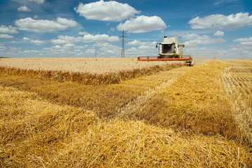 Combine harvester harvests ripe wheat. Concept of a rich harvest. Agriculture image