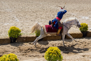 Poster - A high angle view of a person sitting on the horse that is running on the sand