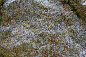 rock texture close up with green moss and roots. High quality cracked boulder, fractured