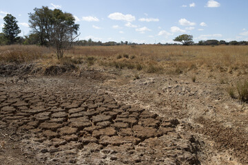 Canvas Print - A view of a cracked, parched grassland