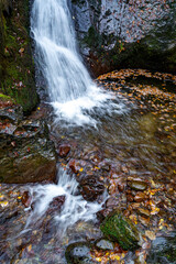 Wall Mural - A waterfall in autumn in the Black Forest, Germany. A mystic waterfall in the middle of a forest with green mossy stones and orange leaves.