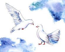 Watercolor Image Of Couple Of White Doves Striving For Each Other On White Background With Blue Paint Clouds In Upper Right And Lower Left Corners. Hand Drawn Template Of Wedding Invitation