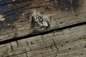 A wooden background diagonally located boards. With a slit dividing the picture in half and dried a large in the center.