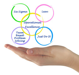 Four drivers of Operational Excellence