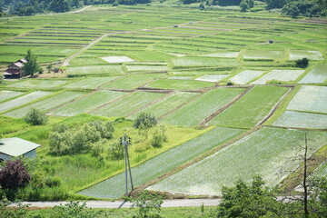 Sticker - travel in Japan