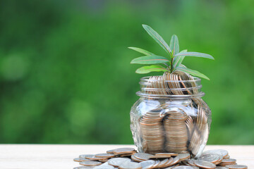 Trees growing on coins money and glass bottle on green background, investment and business concept