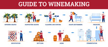 Infographic guide to winemaking with winemakers characters, flat cartoon vector illustration isolated on white background. Wine production stages scheme.