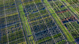 Shop or nursery of ornamental plants. Drone view