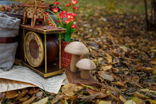 Vintage Brown Clock, Note Paper, Wooden Mushrooms Toy, Artificial Flowers, Wicker Bicycle Toy Among Dry Yellow Autumn Leaves. Autumn Decorative Elements Composition.