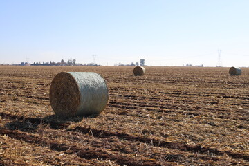 Sticker - bales of hay