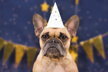 Wall Mural - Cute French Bulldog dog wearing New Year's Eve party celebration hat in front of blue background with golden garlands