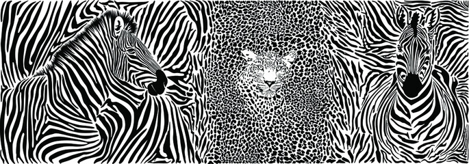 Wild animal background - template with motif zebras and leopard