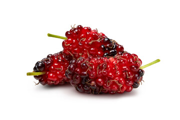 Organic mulberry fruits isolated on white background.