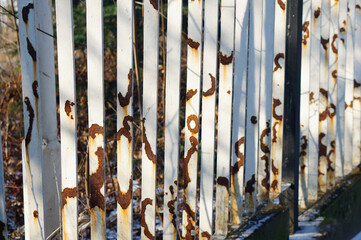 Canvas Print - A closeup of a rusty old peeled metallic fence separating the field from the road