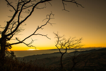 Wall Mural - viewpoint of the sunrise on phu lom lo phetchabun province, thailand