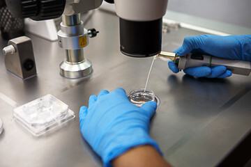 Wall Mural - Hands of a scientist in the laboratory with a test tube and a microscope. The invention of the vaccine, a doctor in the clinic of artificial insemination IVF. Tests, fertilization of the egg