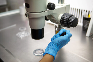 Wall Mural - Hands of a scientist in the laboratory with a test tube and a microscope. The invention of the vaccine, a doctor in the clinic of artificial insemination IVF. Tests, fertilization of the egg