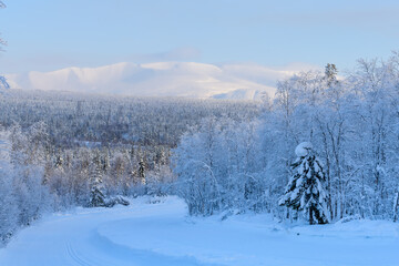 Beautiful winter snowy landscape. The trees are covered with snow, mountains are in a light haze.