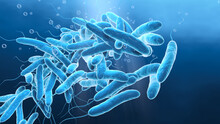 Legionella Pneumophilia Bacteria In Water, Medically 3D Illustration