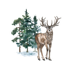 Naklejka na meble Watercolor winter conifer forest and male deer illustration. Hand painted pine trees and reindeer. Christmas card template. Texture artistic background.