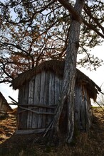 A Small Wooden Pantry Leaning Against A Tree
